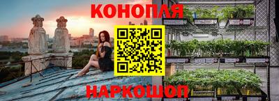 соль курить ск Аргун