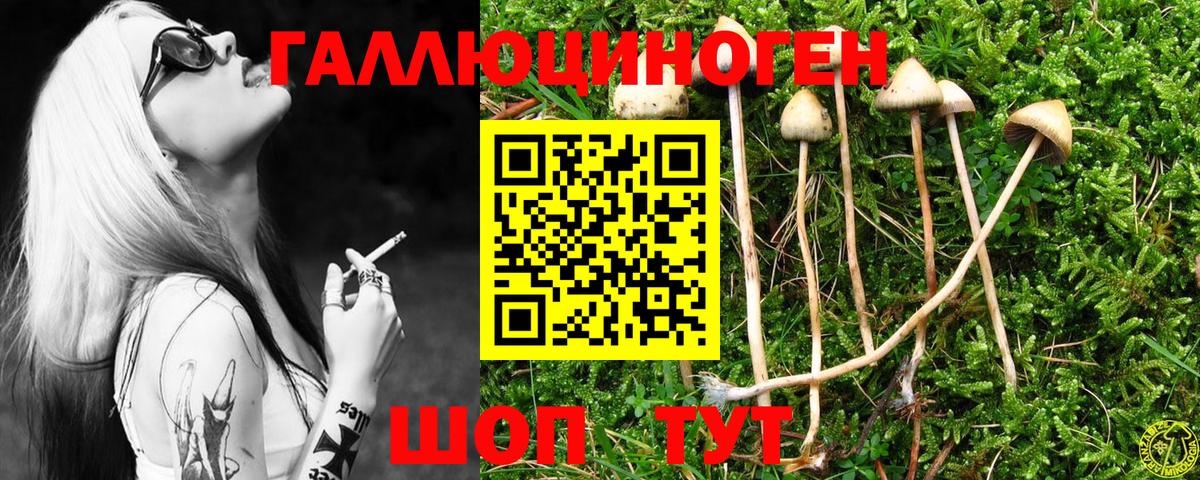 Галлюциногенные грибы мухоморы  Псилоцибиновые грибы Magic Shrooms  Муравленко 