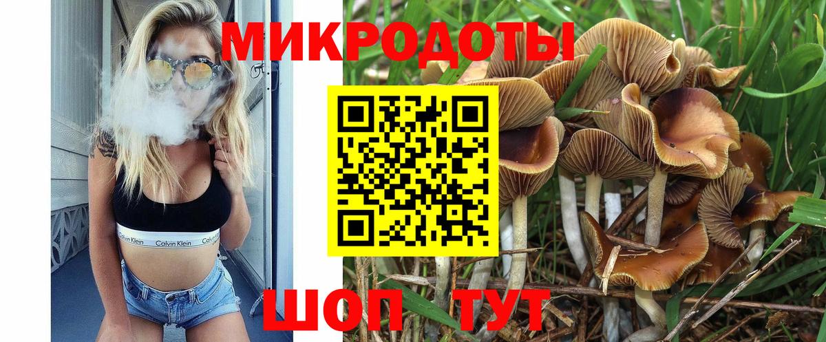 Псилоцибиновые грибы ЛСД  Вход с VPN  Псилоцибиновые грибы Cubensis  купить  сайты  Муравленко 